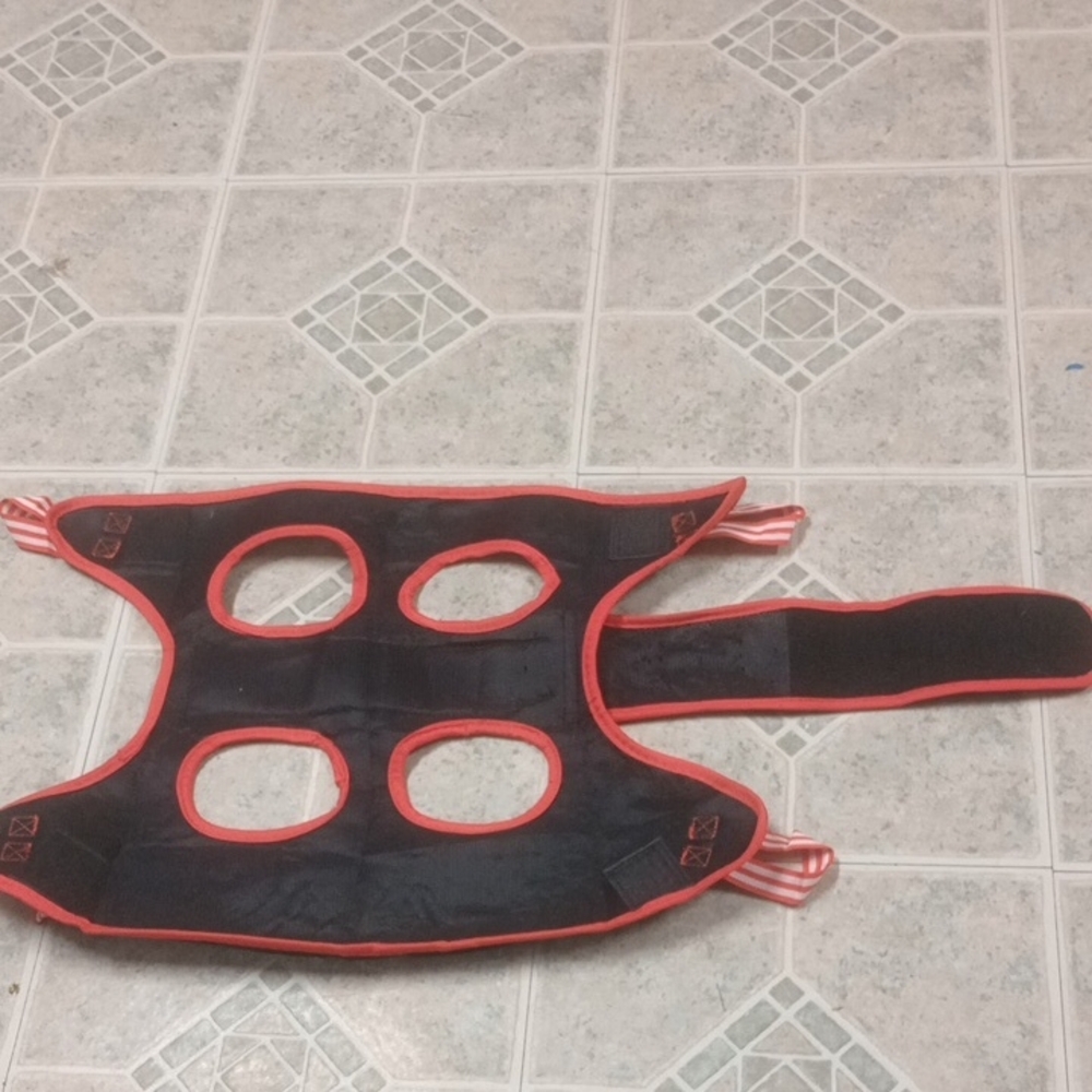 Black and Red Pet Harness
